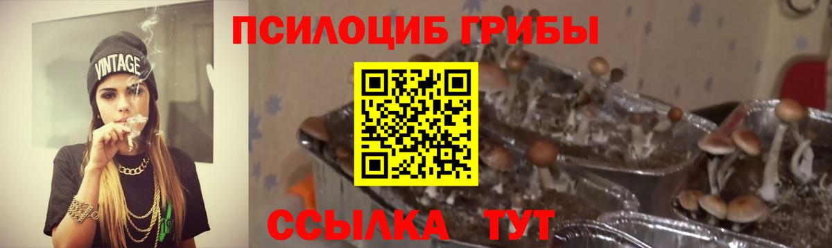 хочу   Галлюциногенные грибы мицелий  Псилоцибиновые грибы Psilocybine cubensis  Вход с VPN  Валуйки 